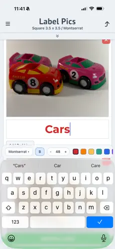 Text editing in Label Pics