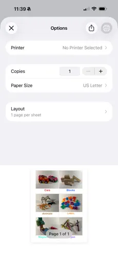 Print preview in Label Pics